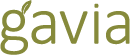 gavia